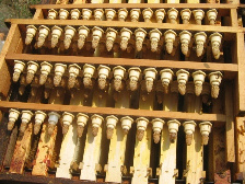 včelí královny 02