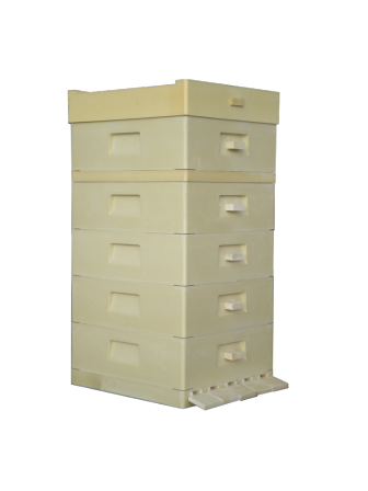 MIODOLAND polské úly včelí královny ukládající med Polsko 01