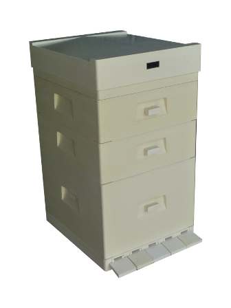 MIODOLAND polské úly včelí královny ukládající med Polsko 04